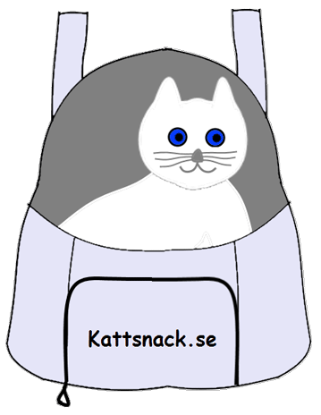 Katt i kattryggsäck